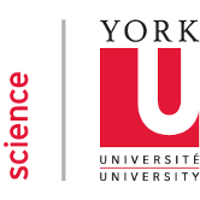 York University