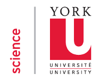 York University logo