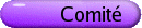 Comité de coordination