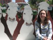 Sandra and some cows